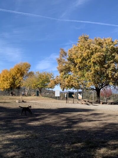 Benton Dog Park - Redding - Redding, CA