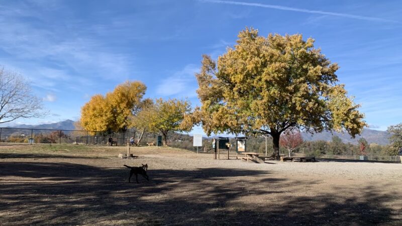 Benton Dog Park - Redding - Redding, CA