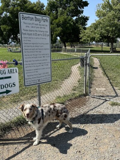 Benton Dog Park - Redding - Redding, CA