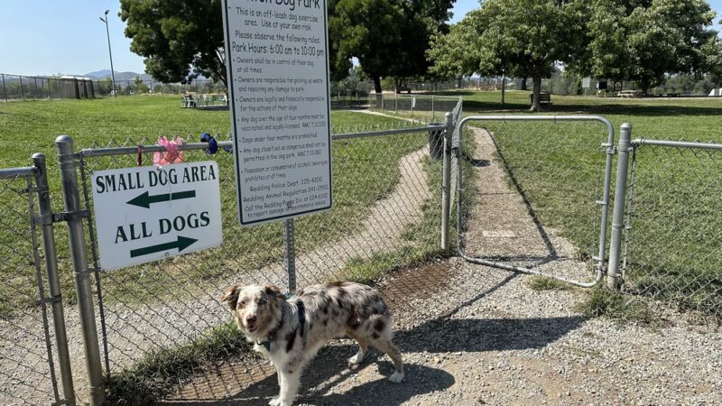 Benton Dog Park - Redding - Redding, CA