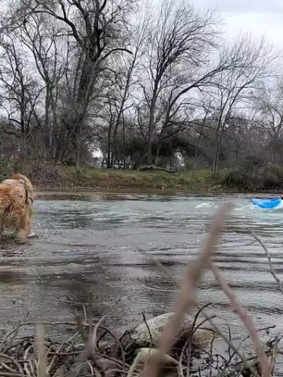 Nur Pon Open Space - Redding, CA