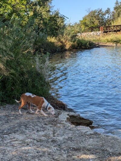 Nur Pon Open Space - Redding, CA