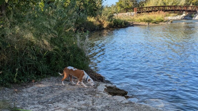 Nur Pon Open Space - Redding, CA