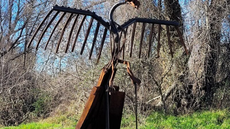 Nur Pon Open Space - Redding, CA