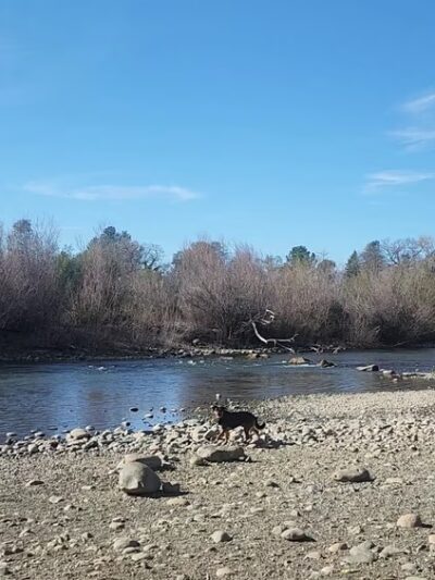 Turtle Bay East Open space - Redding, CA