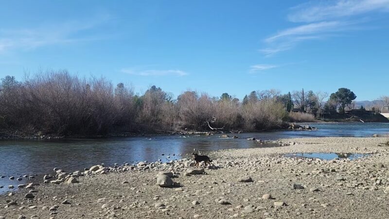 Turtle Bay East Open space - Redding, CA