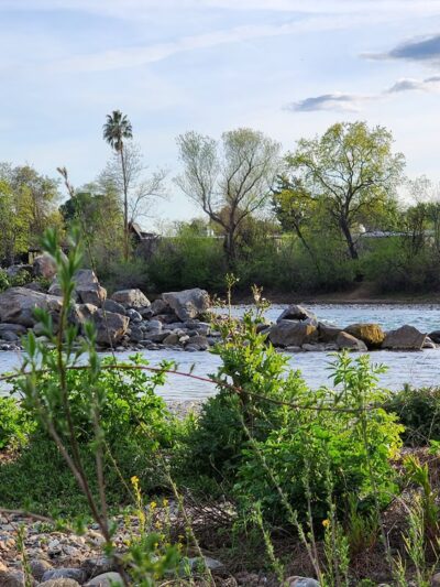 Turtle Bay East Open space - Redding, CA