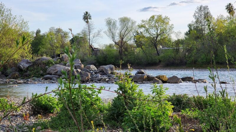 Turtle Bay East Open space - Redding, CA