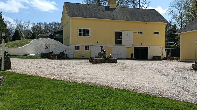 Canine College - Redding, CT