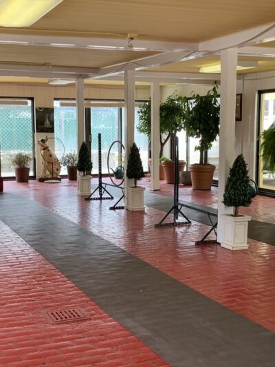 Canine College - Redding, CT