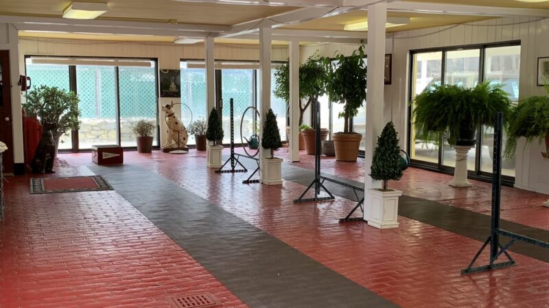 Canine College - Redding, CT