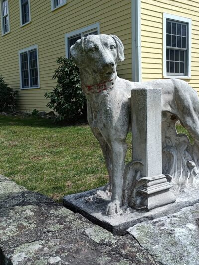 Canine College - Redding, CT