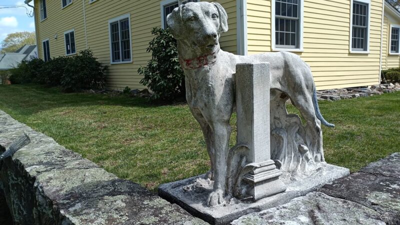 Canine College - Redding, CT