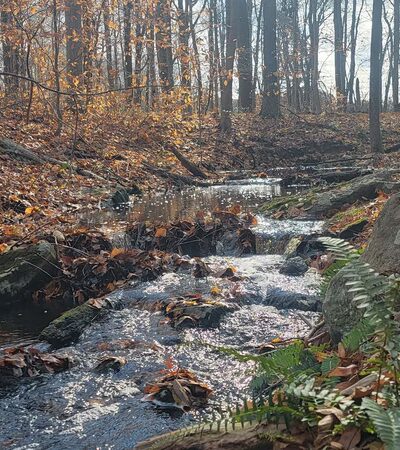 Putnam Park Visitor Center - Redding, CT
