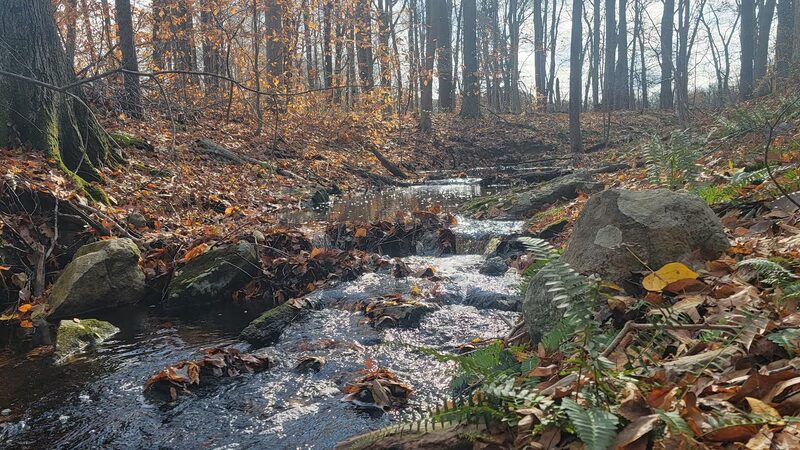 Putnam Park Visitor Center - Redding, CT