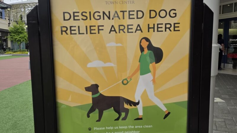 Dog relief area - Redmond, WA