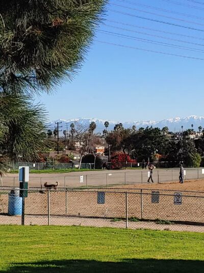 Redondo Beach Dog Park - Redondo Beach, CA