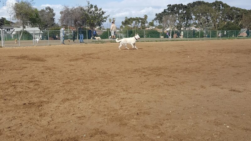 Redondo Beach Dog Park - Redondo Beach, CA
