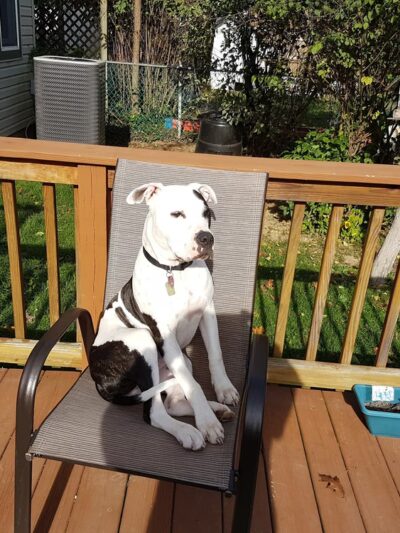 Bender Park - Reedsville, PA