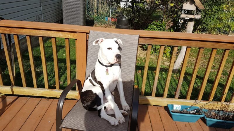 Bender Park - Reedsville, PA