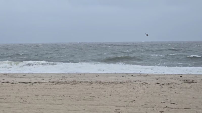 Conquest Road Beach Parking - Rehoboth Beach, DE