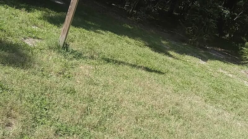 Deer Park - Rehoboth Beach, DE