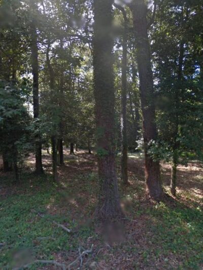 Deer Park - Rehoboth Beach, DE