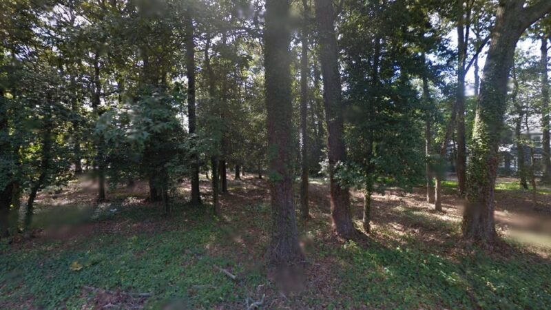 Deer Park - Rehoboth Beach, DE