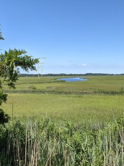 Gordons Pond - Rehoboth Beach, DE