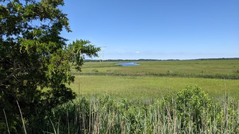 Gordons Pond - Rehoboth Beach, DE