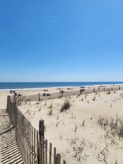 Gordons Pond - Rehoboth Beach, DE