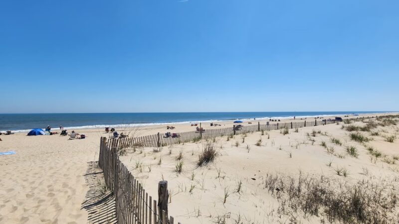 Gordons Pond - Rehoboth Beach, DE