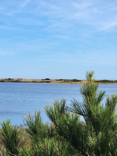 Gordons Pond - Rehoboth Beach, DE