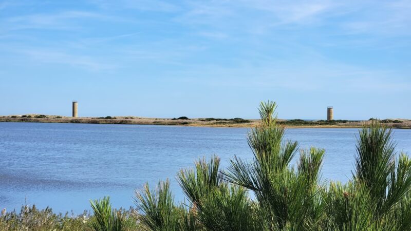 Gordons Pond - Rehoboth Beach, DE