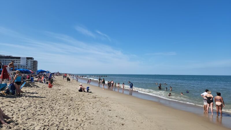 Poodle Beach - Rehoboth Beach, DE