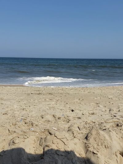 Poodle Beach - Rehoboth Beach, DE