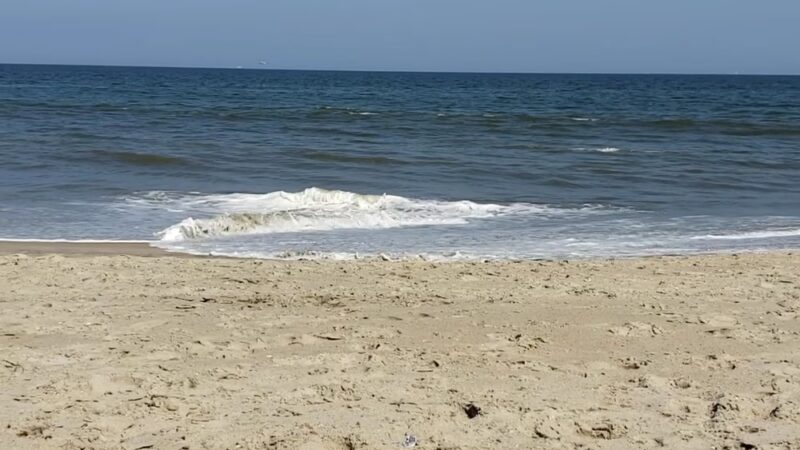 Poodle Beach - Rehoboth Beach, DE