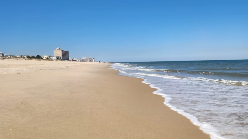 Poodle Beach - Rehoboth Beach, DE