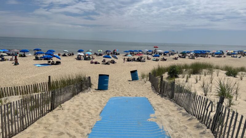 Poodle Beach - Rehoboth Beach, DE
