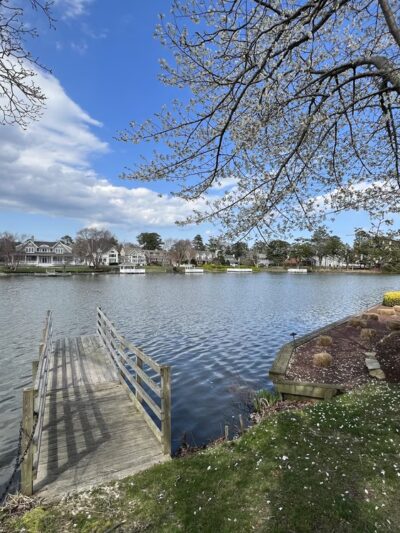 Teardrop Park - Rehoboth Beach, DE
