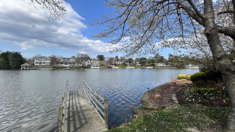 Teardrop Park - Rehoboth Beach, DE