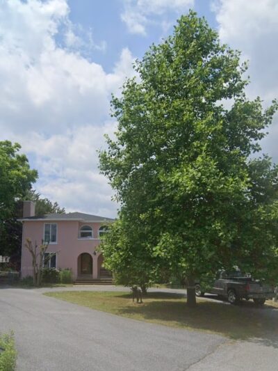Teardrop Park - Rehoboth Beach, DE