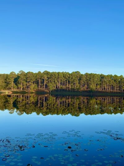 Jack Hill State Park - Reidsville, GA