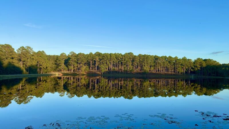 Jack Hill State Park - Reidsville, GA
