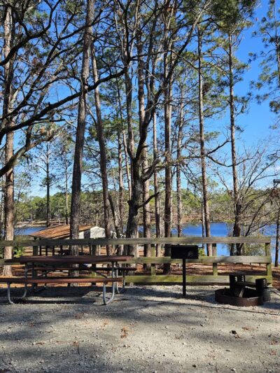 Jack Hill State Park - Reidsville, GA