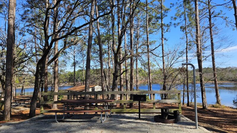 Jack Hill State Park - Reidsville, GA