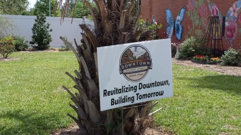 Reidsville Park - Reidsville, GA