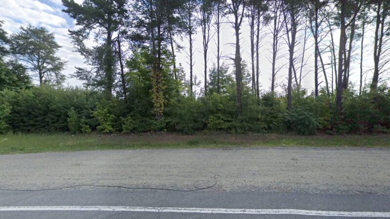 Dog Park at Love's Travel Stops - Reidsville, NC
