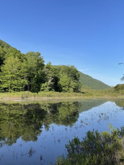 Stellfox's Pond Park - Renovo, PA