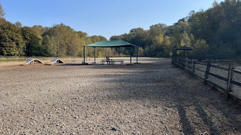 Cedar River Dog Park - Renton, WA